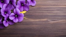 Purple pansy flowers on wooden background. Top view with copy space
