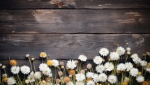 White daisies on a wooden background with space for text.