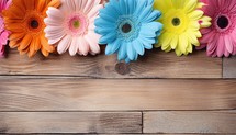 Colorful gerbera flowers on wooden background, space for text
