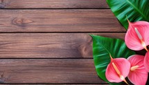 Pink Anthurium flowers and green leaves on brown wooden background.