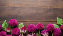 Beautiful pink dahlia flowers on wooden background with copy space