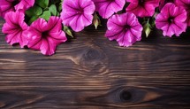 Petunia flowers on wooden background. Top view. Copy space.