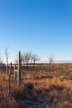Autumn prairie and fence 