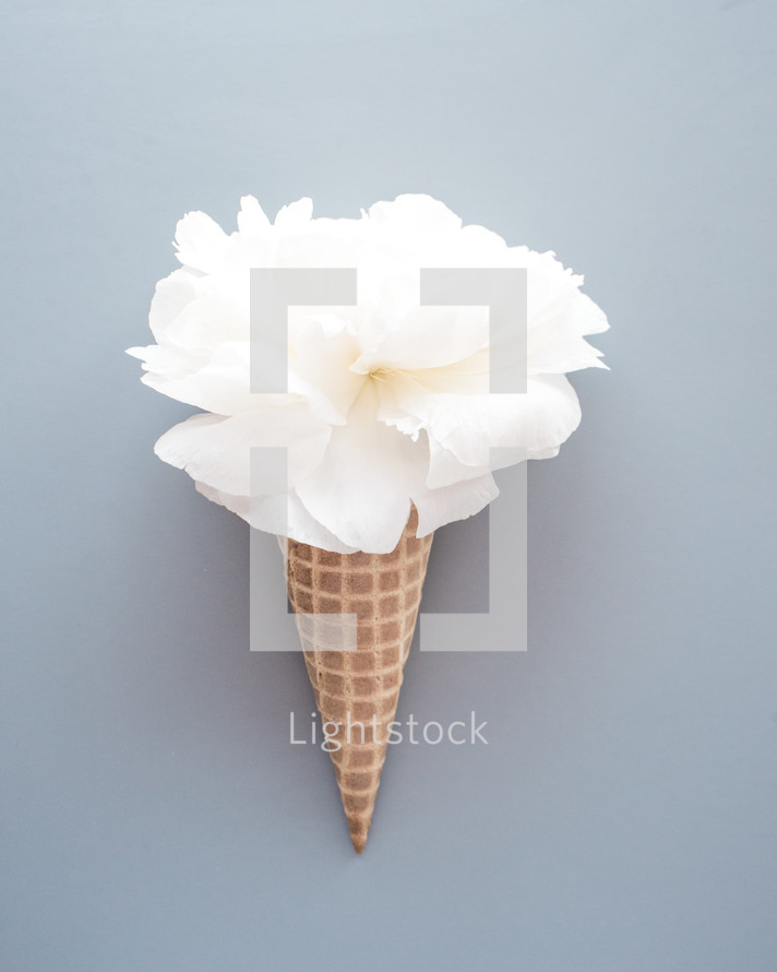 flower in an ice cream cone 