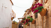 Typical flower on the street of Sicily vacation city called Marzamemi