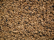 dried coffee beans 