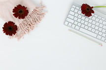 computer keyboard, border, desk, scarf, winter, pink, blush, red, gerber daisies, flowers, pencil, home office, workspace, feminine, white background 