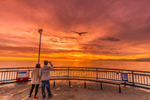 man taking picture of a seagull at sunset 