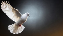 Dove Flying 