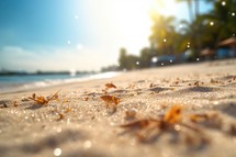 Sunny Beach with Bokeh Background