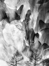 leaves clouds trees double exposure in black and white