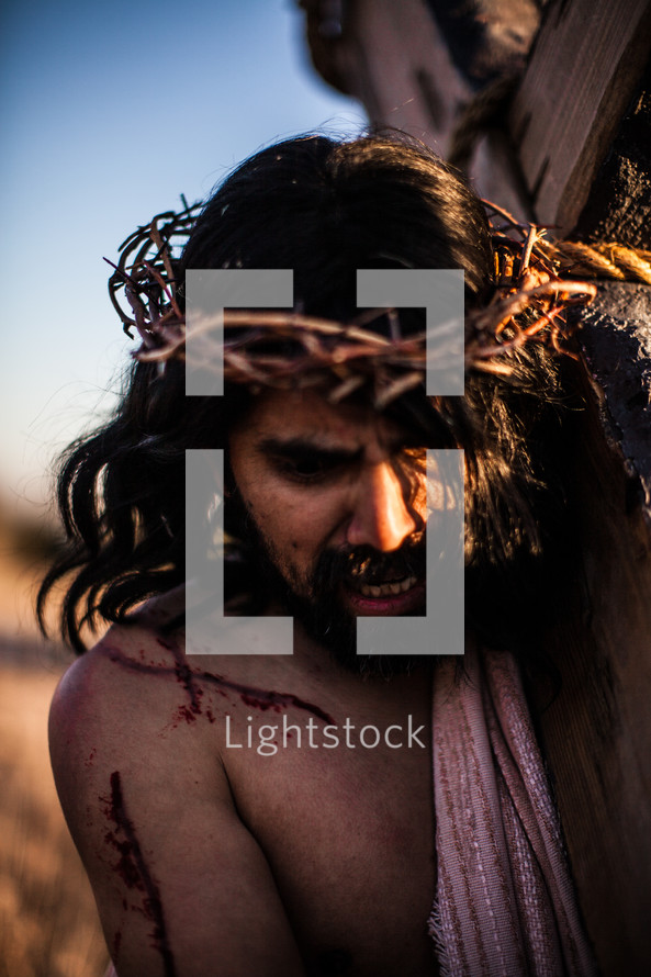 anguish of Jesus 