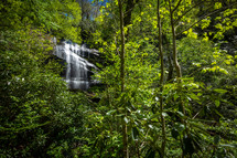 View of hidden waterfall through forest trees 