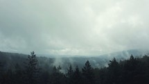 Wide angle aerial shot of a forest surrounded with fog and mountains in the background