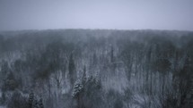 Winter Snowstorm In The Forest