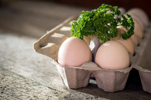 carton of eggs and parsley 