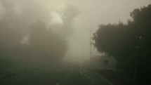 Driving through the fog