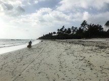 a man riding a bike on a beach in Zanzibar, Tanzania