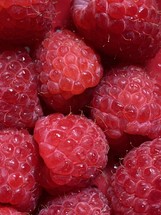 closeup of freshly washed red raspberries with a bit of a red colander showing underneath