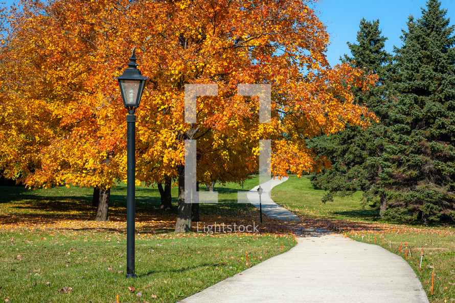 Park walkway with lamp through autumn foliage trees 