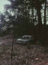 abandoned car in the woods 