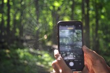 taking a picture of a spider web