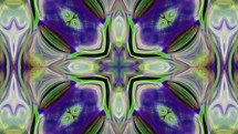 Kaleidoscope With Colorful And Flower Patterns. - loop animation	