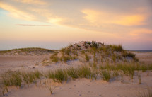 sand dunes on a beach 