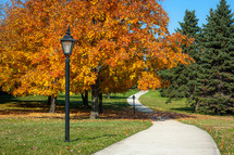 Park walkway with lamp through autumn foliage trees 