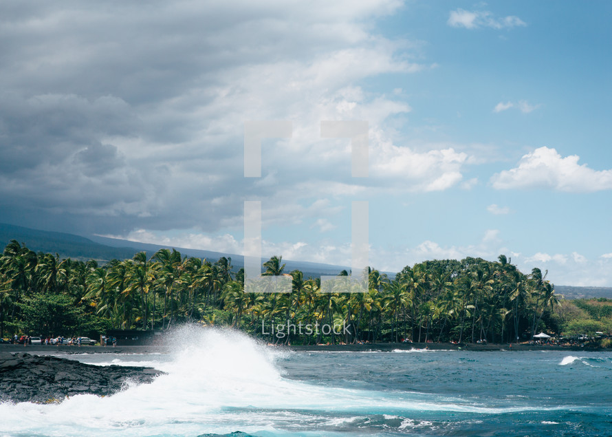 waves crashing in a shore and palms trees 