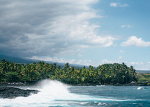 waves crashing in a shore and palms trees 