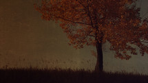 autumn tree and field artistic background 