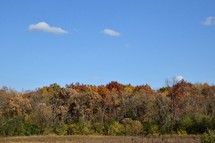Fall Colors along a Hiking Trail in southwestern Wisconsin