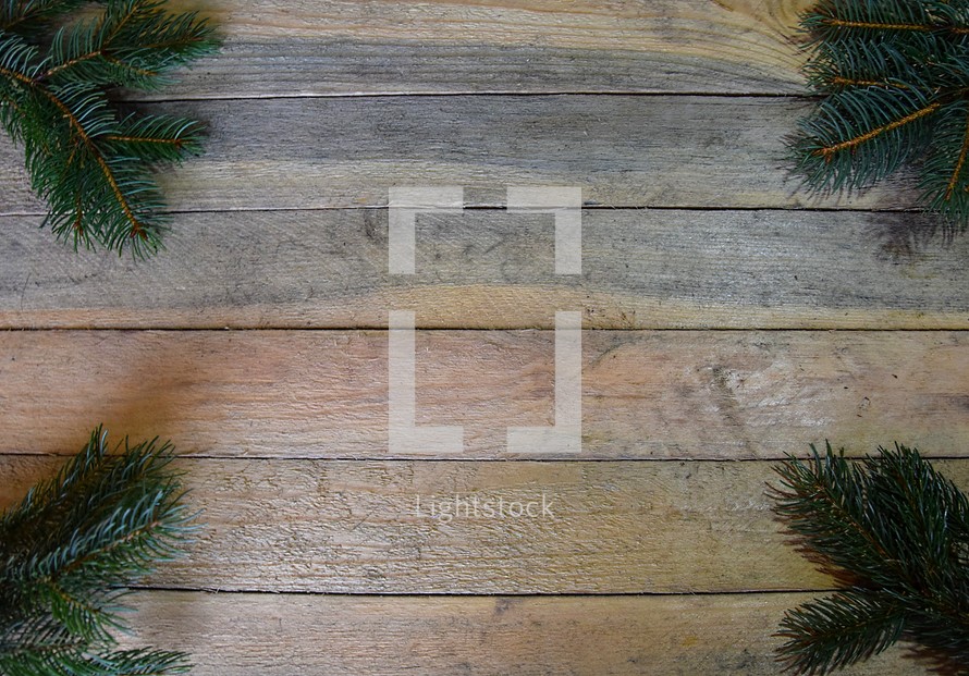 Border of Spruce branches on wooden background