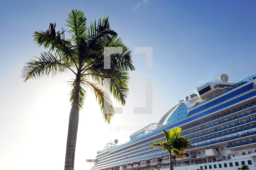 Palm tree and cruise ship 