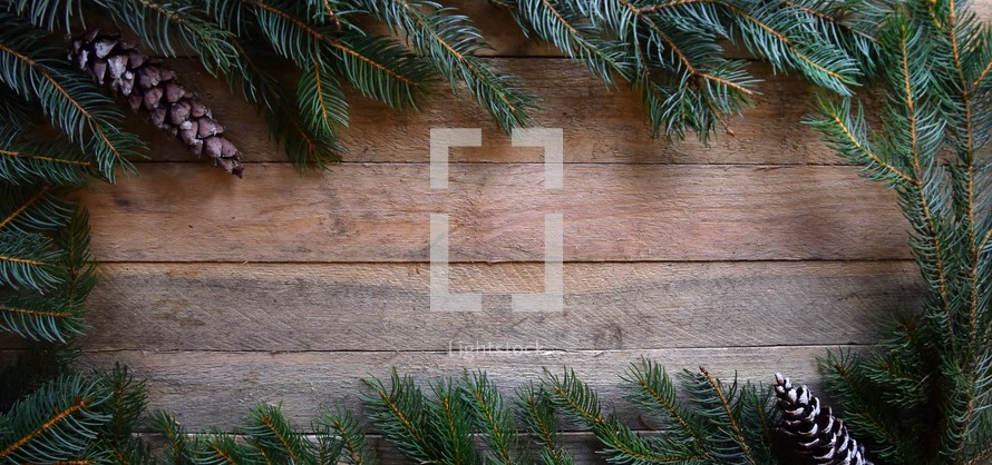 Border of Spruce branches on wooden background with pine cones