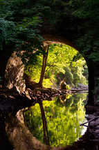 A stone arch over a stream in a forest.
