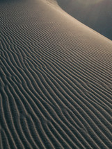 rippes in desert sand 