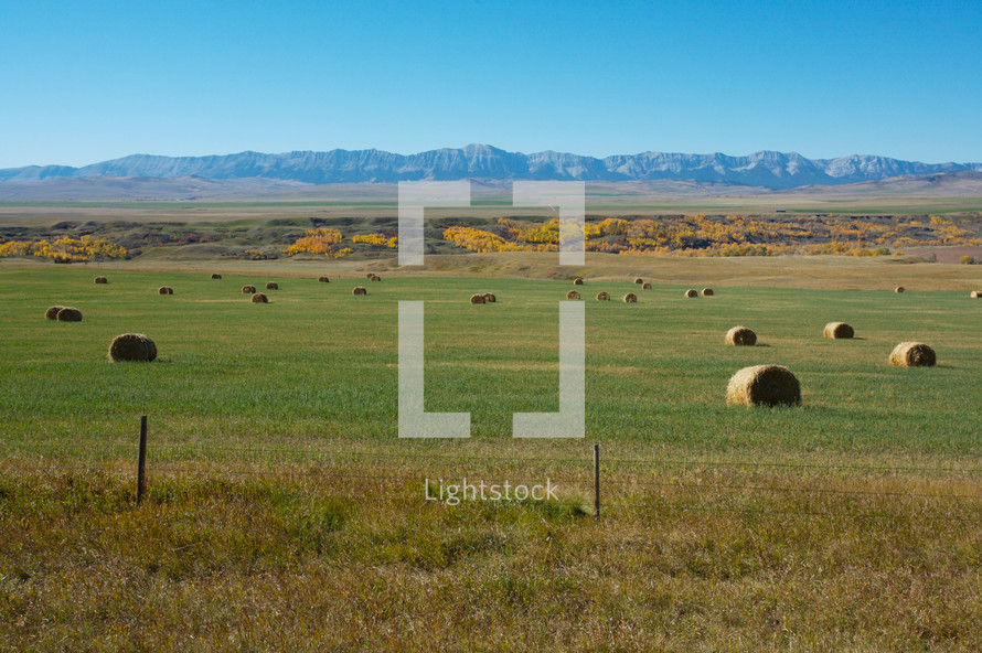 hay bales in a field in front of the Rocky Mountains