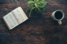 open Bible, houseplant, and coffee cup 