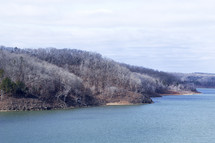 trees on a hill along a lake shore 