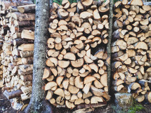 pile of firewood 