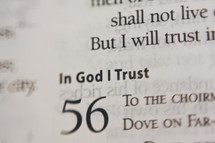 in God I Trust scripture