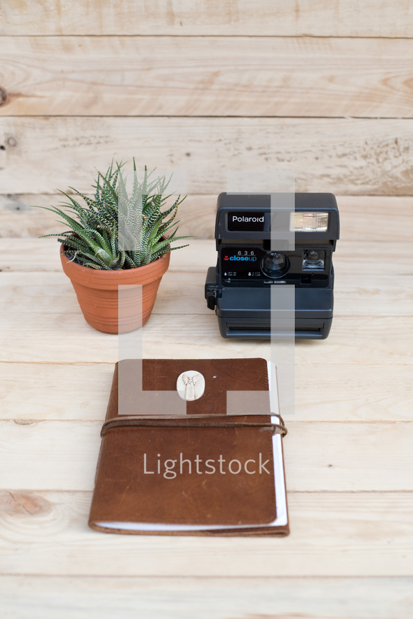journal, polaroid camera, and house plant on a desk 