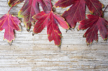 red fall leaves on brown background 