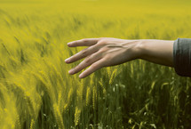 Hand Touching a Field