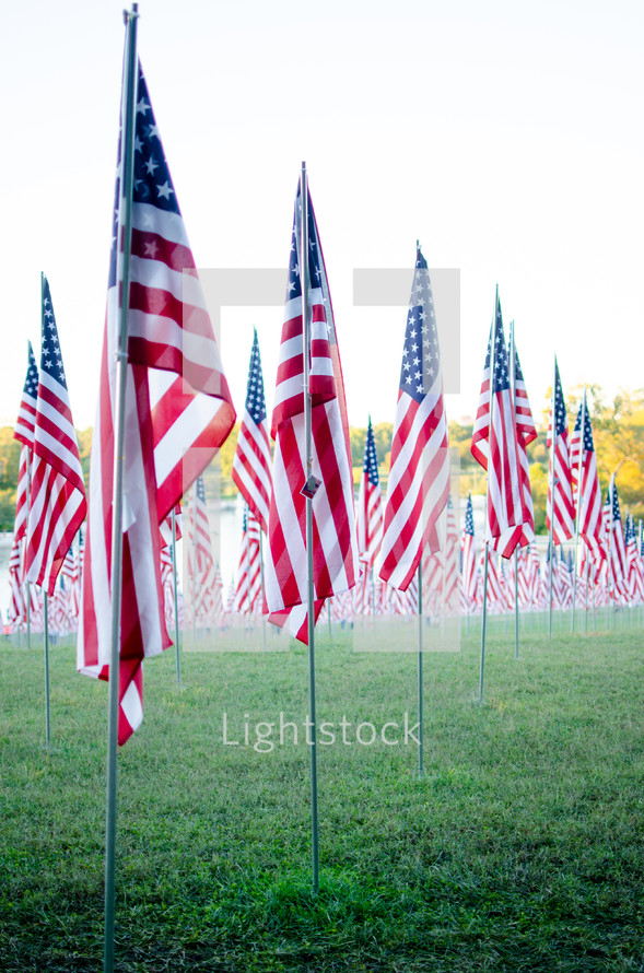 patriotic Valor Flags