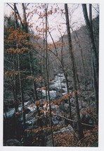 photograph of a river in a fall forest 