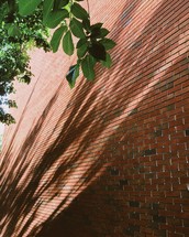 shadows on a brick wall 
