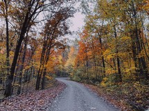 rural dirt road in fall 
